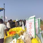 उम्मीद से अधिक उत्पादन दे रहा है P34104 किसानों में बढ़ा उत्साह, बाजार के सहयोग से अच्छे लाभ की संभावना बढ़ी