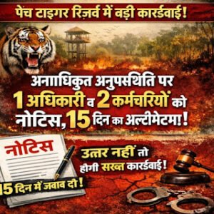 पेंच टाइगर रिजर्व में बड़ी कार्रवाई: अनाधिकृत अनुपस्थिति&hellip;