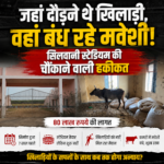 जहां दौड़ने थे खिलाड़ी, वहां बंध रहे मवेशी! सिलवानी स्टेडियम की चौंकाने वाली हकीकत